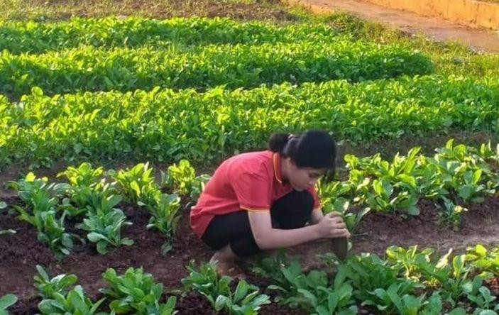 Học sinh Trường PTDTNT THCS &amp; THPT Bắc Yên tăng gia sản xuất sau mỗi ngày học. Ảnh: NVCC