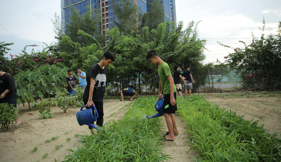 Học sinh Trường Hy Vọng cùng tham gia chăm sóc vườn rau quanh khu vực nội trú sau giờ học. Học sinh Trường Hy Vọng cùng tham gia chăm sóc vườn rau quanh khu vực nội trú sau giờ học.