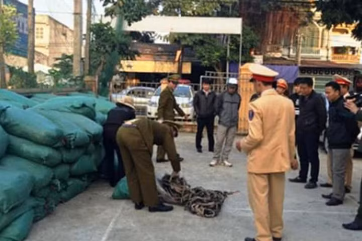 Bắt giữ hơn 11 tấn da trâu, bò không rõ nguồn gốc