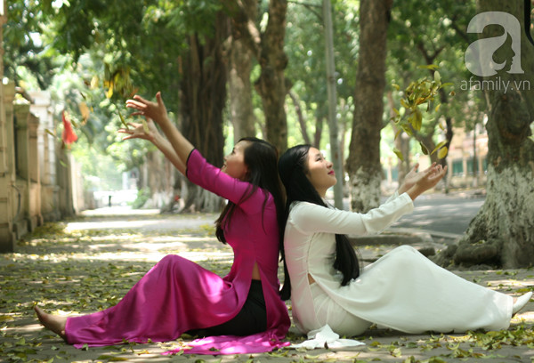 bốt hàng đậu bốt hàng đậu