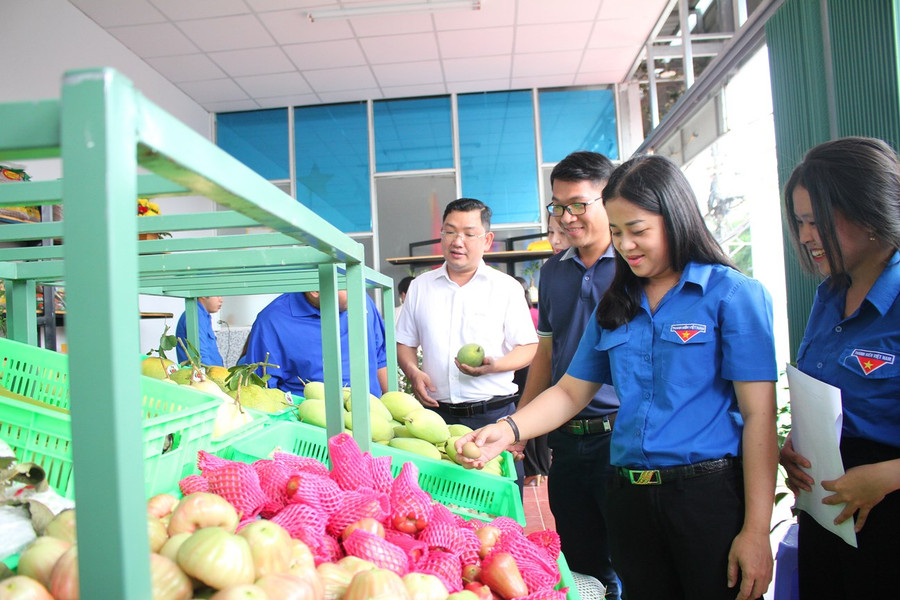 Quan khách thăm quan Hợp tác xã dịch vụ nông nghiệp thanh niên đô thị.