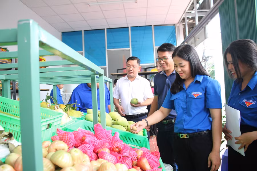 Quan khách thăm quan Hợp tác xã dịch vụ nông nghiệp thanh niên đô thị.