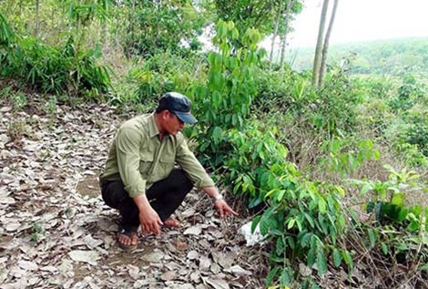 Khu vực tìm thấy chiếc áo của anh Tùng. Khu vực tìm thấy chiếc áo của anh Tùng.