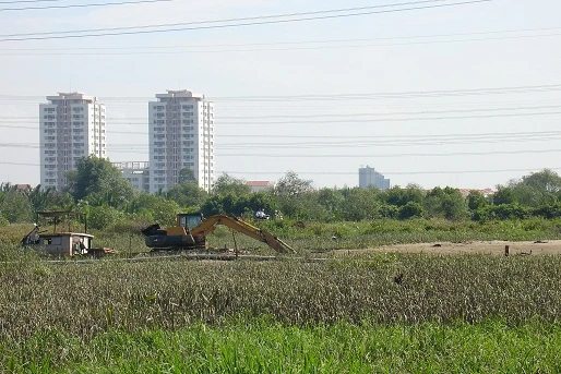 Tăng cường quản lý đất đai 