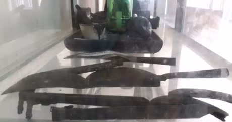 Can canh dinh thu hang ngan m2 cua 