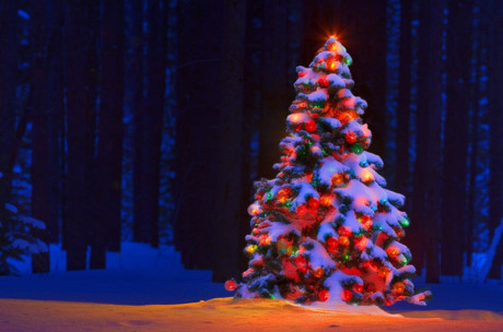 Trang trí nhà đón Noel, một người rơi xuống đất tử vong - Ảnh 1 Trang tri nha don Noel, mot nguoi roi xuong dat tu vong - Anh 1