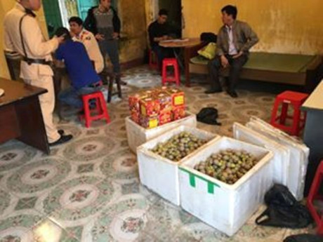 Cận tết, hàng nghìn quả pháo lậu Can tet, hang nghin qua phao lau