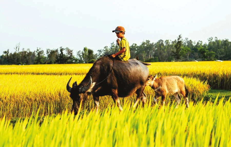 Ảnh minh họa ITN.