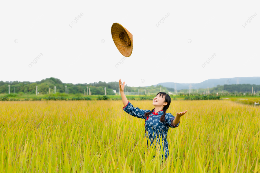 Ảnh minh họa ITN. Ảnh minh họa ITN.