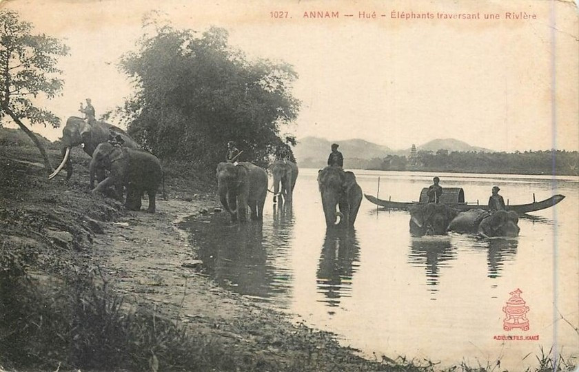 Ảnh minh họa. Ảnh minh họa.