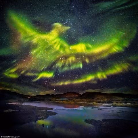 bac cuc quang ki ao hinh phuong hoang tai ai-len hinh anh 1