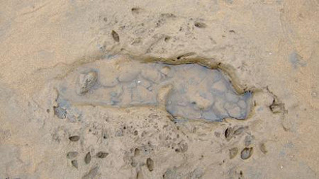 Tìm hiểu về những dấu chân có niên đại 7000 năm ở Anh ảnh 3 Những dấu chân được thiên nhiên bảo tồn và lưu lại cho đến ngày nay.