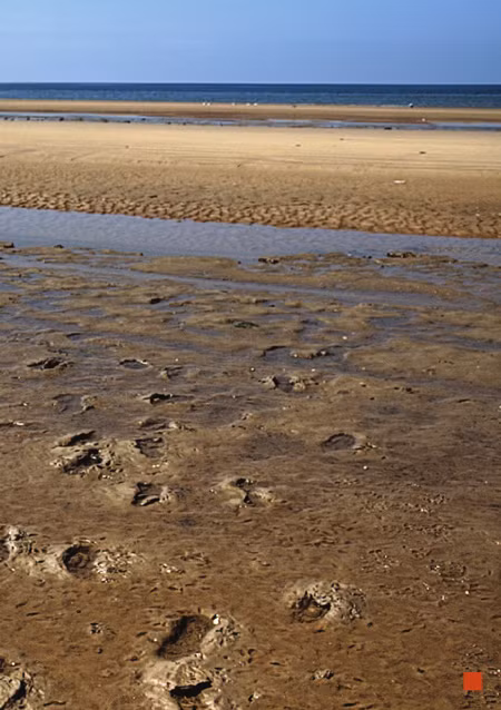 Tìm hiểu về những dấu chân có niên đại 7000 năm ở Anh