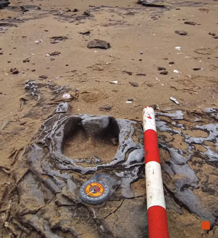 Những dấu chân được thiên nhiên bảo tồn và lưu lại cho đến ngày nay.