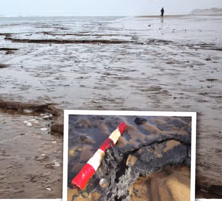 Bãi biển Formby nơi lưu giữ những dấu chân của người cổ đại 7000 năm trước.