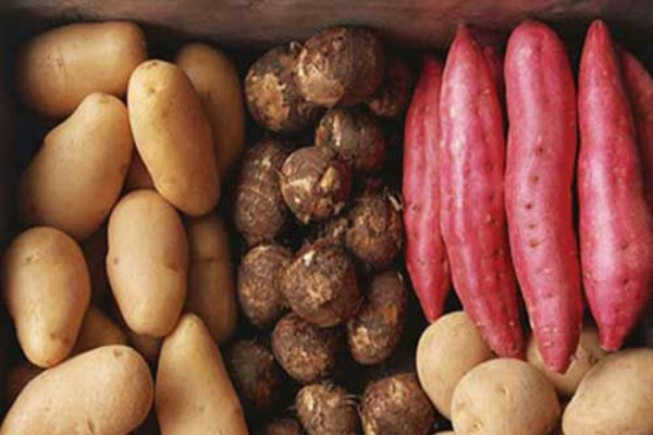 Chúng ta cần thải độc toàn bộ cơ thể bằng cách nào? Đây chính là giải pháp! ảnh 3