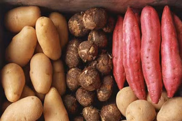 Chúng ta cần thải độc toàn bộ cơ thể bằng cách nào? Đây chính là giải pháp! ảnh 3 Chúng ta cần thải độc toàn bộ cơ thể bằng cách nào? Đây chính là giải pháp! ảnh 3