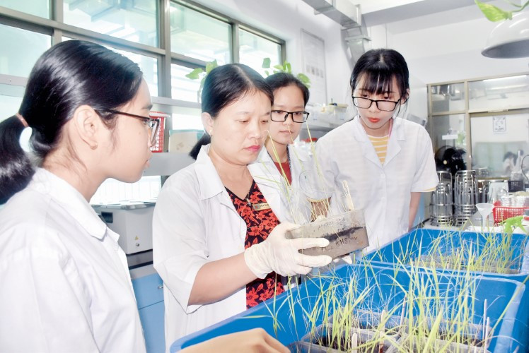 TS Phạm Thị Thu Hà hướng dẫn SV làm thực hành tại phòng thí nghiệm TDTU. TS Phạm Thị Thu Hà hướng dẫn SV làm thực hành tại phòng thí nghiệm TDTU.