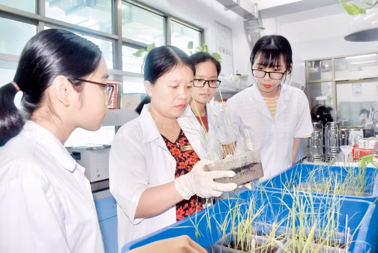 TS Phạm Thị Thu Hà hướng dẫn SV làm thực hành tại phòng thí nghiệm TDTU.