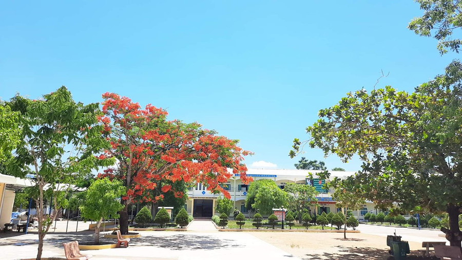 Trường THCS Đông Phú (huyện Quế Sơn) là một trong những điểm thi mới trong Kỳ thi tốt nghiệp THPT năm 2023 tại Quảng Nam.