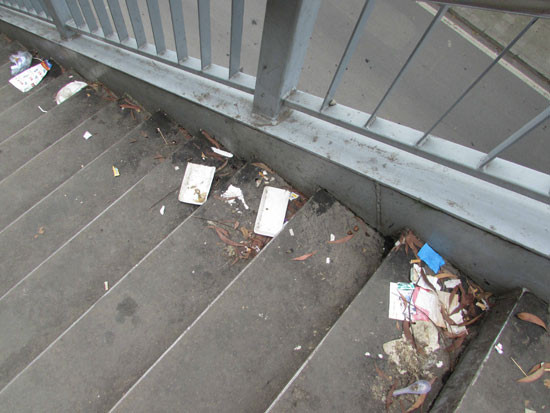 “Vết nhọ” trên cầu bộ hành ảnh 6