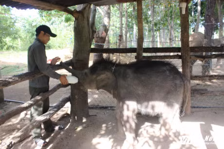 Cuoc song it biet cua hai chang 