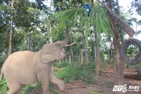 Cuoc song it biet cua hai chang 