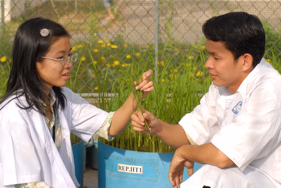 Chủ trương về đổi mới căn bản, toàn diện GD&amp;ĐT được tích cực triển khai, bước đầu có hiệu quả. Ảnh: H. Vũ.