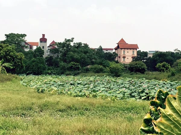 Gần 1.000m2 đất nông nghiệp giao thầu cho Lê Công Lộc đã bị Lộc san lấp và được cán bộ xã, huyện tiếp tay cấp "sổ đỏ" đất ở cùng nhà tạm dựng trên đó. Ảnh: báo Thanh Tra