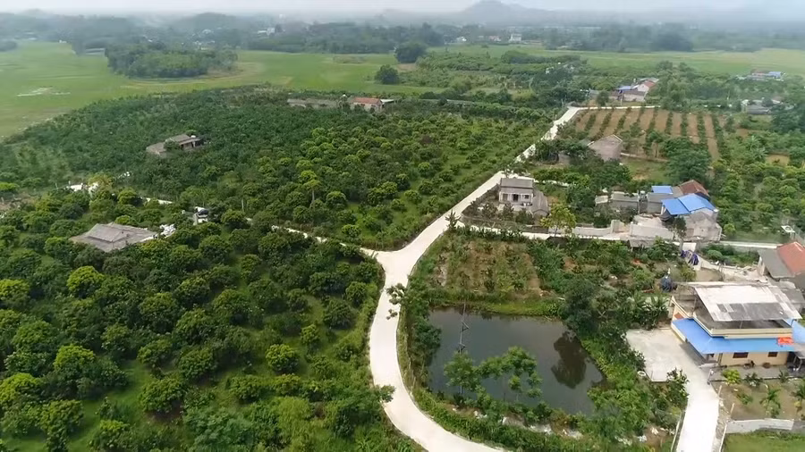 Nông nghiệp đóng góp quan trọng vào sự phát triển bền vững của TX Phổ Yên