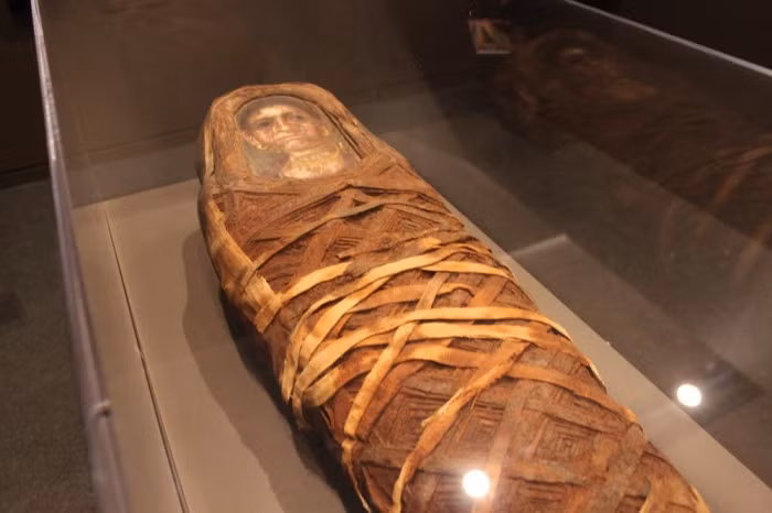 Xác ướp Hawara Portrait Mummy No.4