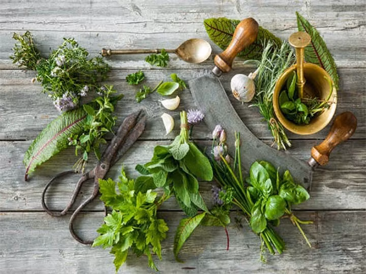 Thảo mộc: Bên cạnh việc mang hương vị món ăn, các loại thảo mộc còn chứa đầy vitamin A. Húng quế, rau mùi là một số loại thảo mộc mà bạn có thể bổ sung vào chế độ ăn uống của bạn để có được nhiều vitamin A.