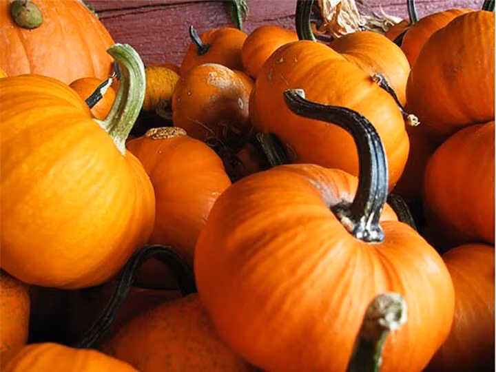 Bí ngô là nguồn chất dinh dưỡng lớn và nó có vị ngọt khi ăn. 100 gram bí đỏ cung cấp cho bạn 170% nhu cầu vitamin A hàng ngày. Bạn có thể ăn bí ngô dưới dạng súp, bánh nướng, đồ ăn nhẹ hoặc trộn với rau khác.