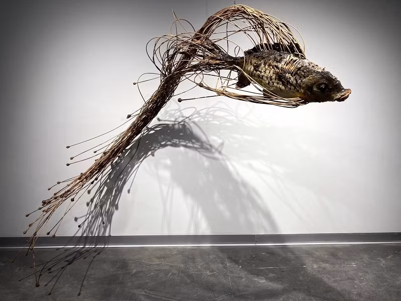 Các sự vật đều nở hoa như “hoa đời” hi vọng.