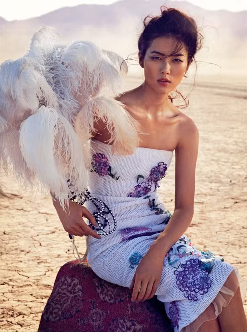 Liu Wen: Từ gái quê đến siêu mẫu giàu nhất châu Á ảnh 4