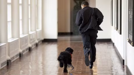 Thu cung nao se tro thanh De nhat thu cung tiep theo trong Nha Trang? - Anh 8