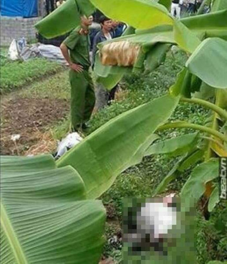 Bắc Giang: Bàng hoàng phát hiện xác cô gái chết trong bụi rậm - Ảnh 2 Bac Giang: Bang hoang phat hien xac co gai chet trong bui ram - Anh 2