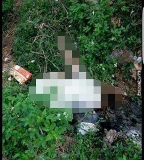 Bắc Giang: Bàng hoàng phát hiện xác cô gái chết trong bụi rậm - Ảnh 1 Bac Giang: Bang hoang phat hien xac co gai chet trong bui ram - Anh 1