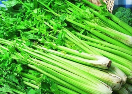 Những lợi ích tuyệt vời của cần tây - Ảnh 1 Nhung loi ich tuyet voi cua can tay - Anh 1