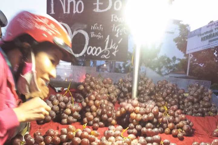 Trái cây Trung Quốc gắn mác Việt Nam bày bán vô tư