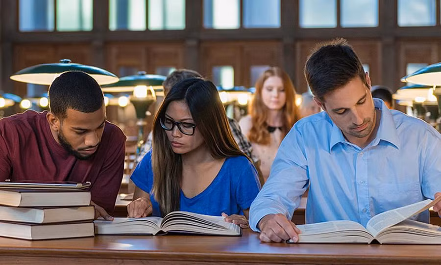 Ảnh minh họa Internet.