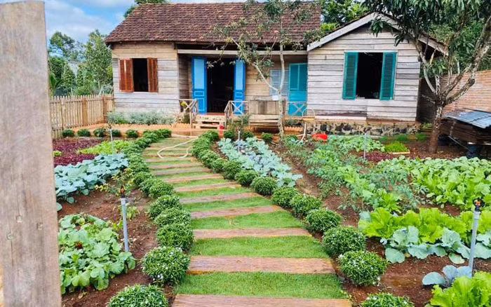 Ngôi nhà vườn nhỏ xinh như trong cổ tích của cô nàng 9X 