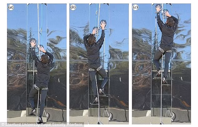 Những món đồ công nghệ có thể biến bạn trở thành siêu anh hùng ảnh 3