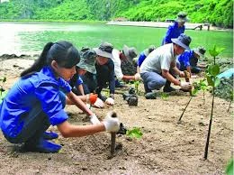 Hỗ trợ ứng phó với biến đổi khí hậu