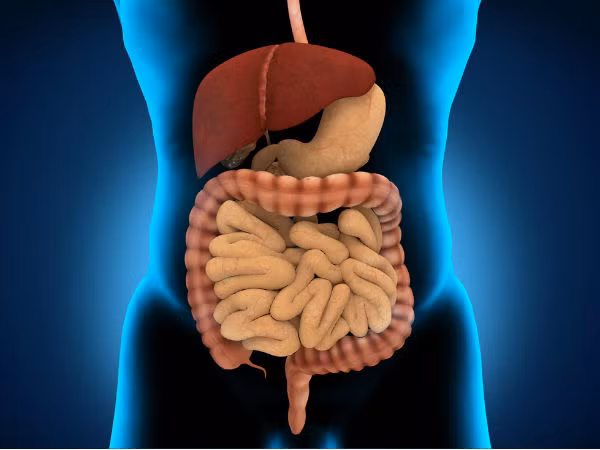 7 lý do nên ăn thực phẩm giàu sắt ảnh 7