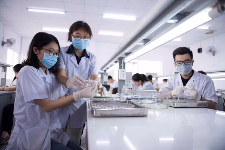 Sinh viên khối ngành sức khỏe của Trường ĐH Quốc tế Hồng Bàng. Ảnh: NTCC