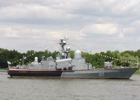 Molniya mang tên lửa P-15 Termit