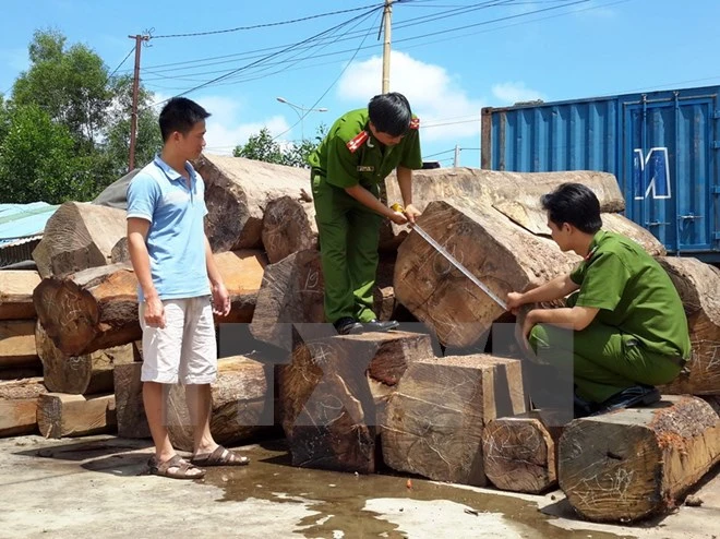 Mất xe tang vật vụ hàng chục mét khối gỗ lậu “lọt” qua biên giới