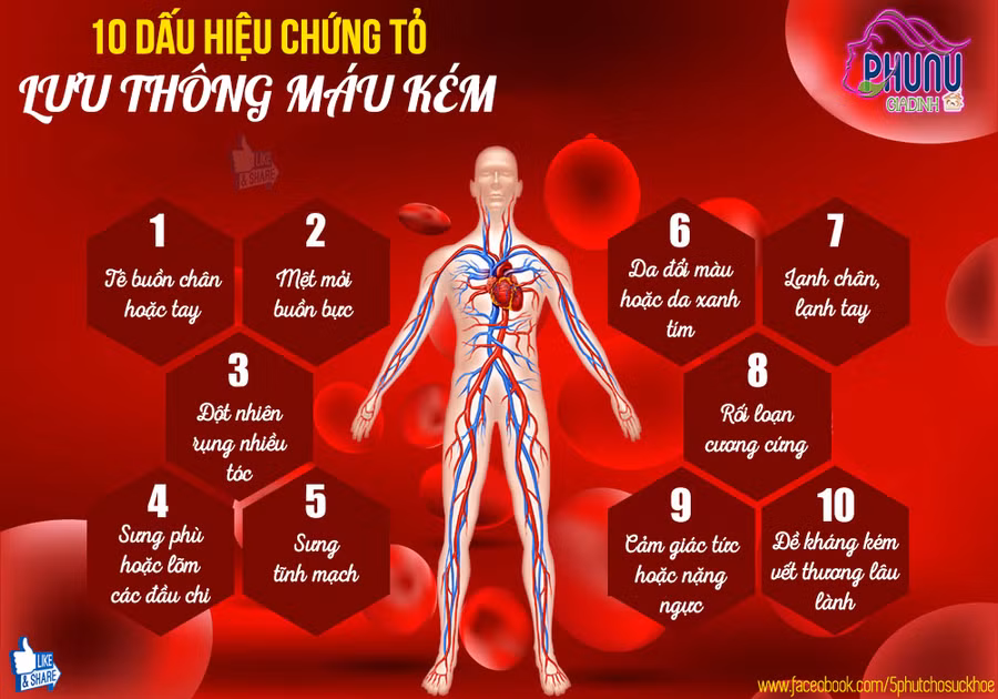 10 dấu hiệu cảnh báo tuần hoàn máu kém và lời khuyên để cải thiện lưu thông máu