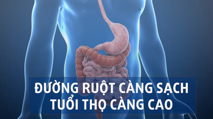 Cổ nhân dạy “nếu không muốn chết, ruột đừng có cặn” và đây là 3 cách làm sạch ruột bạn phải biết